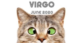 Virgo ♍ OMG! Is this crazy person your other half? ❤️ THE BEST MONTH JUNE 2020 love #june #horoscope
