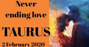 Taurus daily love reading 💖 NEVER ENDING LOVE  💖 2 FEBRUARY 2020